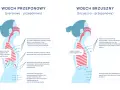 Ilustracja pokazuje dwa typy wdechu: piersiowo-przeponowy i brzuszno-przeponowy. W obu przypadkach kluczowe jest **oddychanie przeponowe**, które angażuje przeponę do głębszego wdechu.