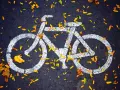 Biały symbol roweru na asfalcie, ozdobiony jesiennymi liśćmi. To znak, że czeka Cię przyjemna droga dla rowerów.