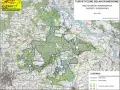 Rowerem przez Puszczę Kozienicką: 350 km tras, atrakcje, porady