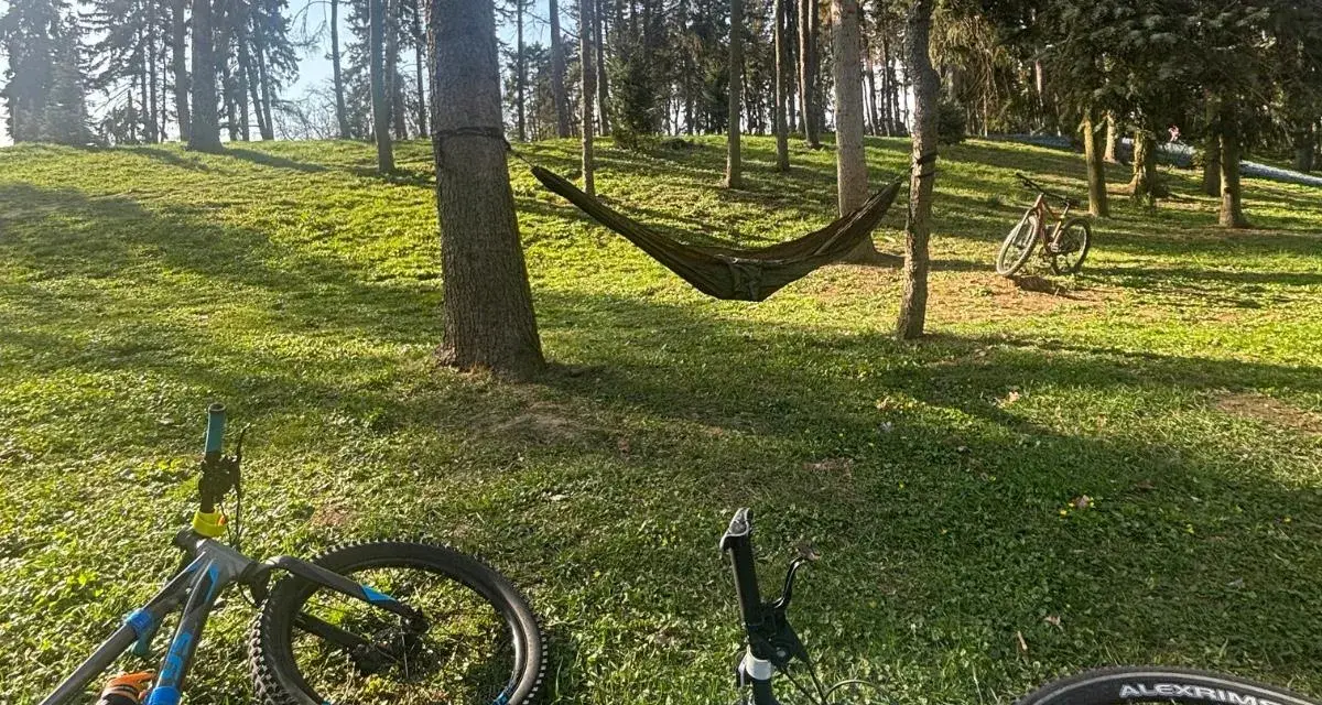 Dwa rowery i hamak w lesie, idealne miejsce na odpoczynek po przejażdżce po trasie rowerowej w Warszawie.