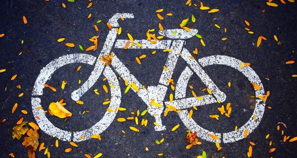 Biały symbol roweru na asfalcie, ozdobiony jesiennymi liśćmi. To znak, że czeka Cię przyjemna droga dla rowerów.