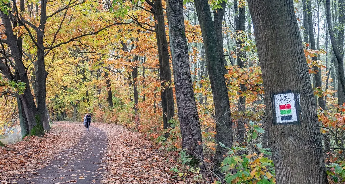 Trasy rowerowe Żory: Odkryj "Śląskie Mazury" na dwóch kółkach!