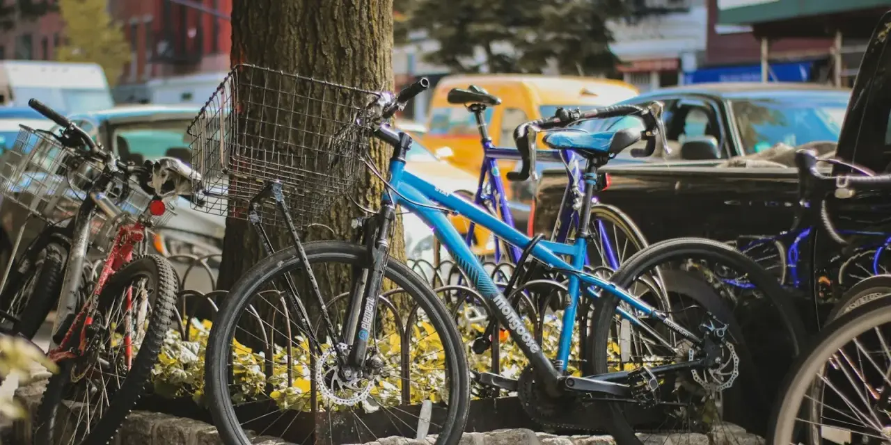 Kilka rowerów, w tym niebieski Mongoose, stoi przy drzewie. Czy to kross czy Romet?