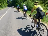 Grupa kolarzy na rajd rowerowy jedzie po asfaltowej drodze wśród zielonych drzew.
