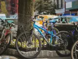 Kilka rowerów, w tym niebieski Mongoose, stoi przy drzewie. Czy to kross czy Romet?