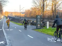 Trasy rowerowe Katowice: 200 km tras, Metrorower i zielone oazy!