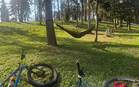 Dwa rowery i hamak w lesie, idealne miejsce na odpoczynek po przejażdżce po trasie rowerowej w Warszawie.