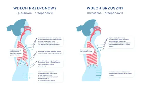 Ilustracja pokazuje dwa typy wdechu: piersiowo-przeponowy i brzuszno-przeponowy. W obu przypadkach kluczowe jest **oddychanie przeponowe**, które angażuje przeponę do głębszego wdechu.