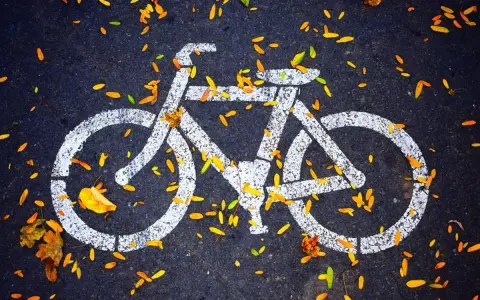 Biały symbol roweru na asfalcie, ozdobiony jesiennymi liśćmi. To znak, że czeka Cię przyjemna droga dla rowerów.