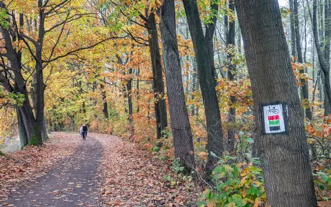 Trasy rowerowe Żory: Odkryj "Śląskie Mazury" na dwóch kółkach!