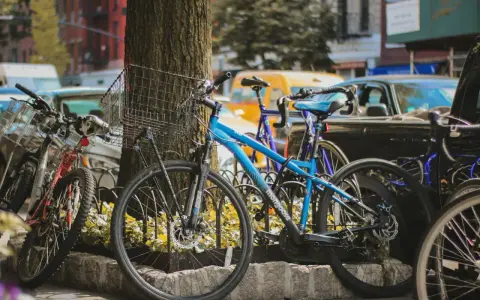 Kilka rowerów, w tym niebieski Mongoose, stoi przy drzewie. Czy to kross czy Romet?