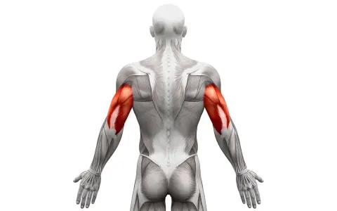 Triceps: Jak rozciągać, by zwiększyć siłę i uniknąć kontuzji?