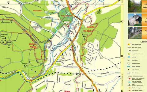 Polanica-Zdrój: Rowerowy raj? Trasy dla rodzin i MTB!