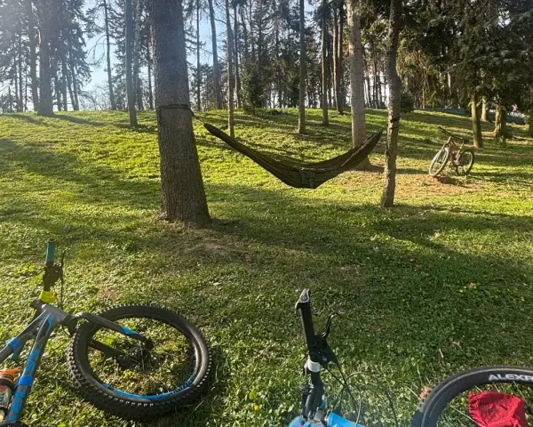 Dwa rowery i hamak w lesie, idealne miejsce na odpoczynek po przejażdżce po trasie rowerowej w Warszawie.