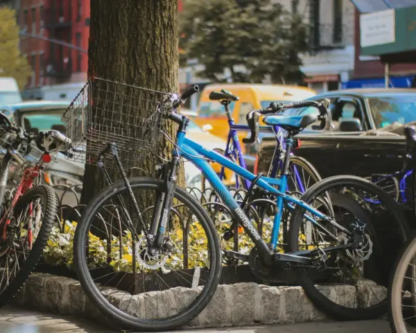 Kilka rowerów, w tym niebieski Mongoose, stoi przy drzewie. Czy to kross czy Romet?