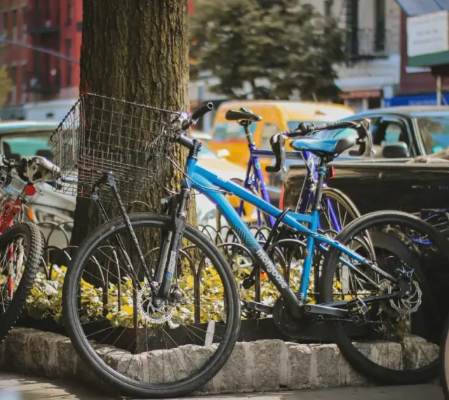 Kilka rowerów, w tym niebieski Mongoose, stoi przy drzewie. Czy to kross czy Romet?