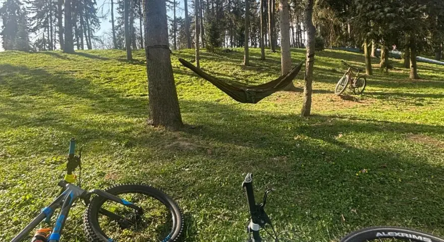 Dwa rowery i hamak w lesie, idealne miejsce na odpoczynek po przejażdżce po trasie rowerowej w Warszawie.