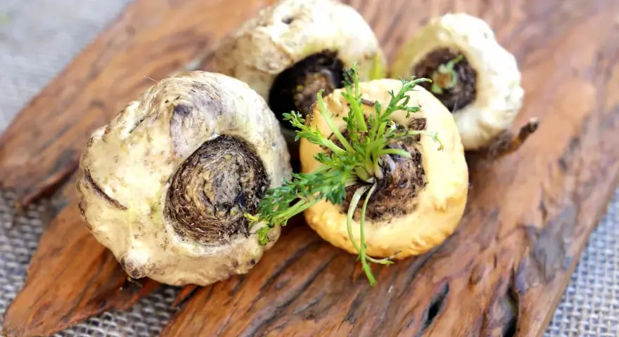 Kilka korzeni maca na drewnianej desce. Zastanawiasz się nad korzeń maca skutki uboczne?