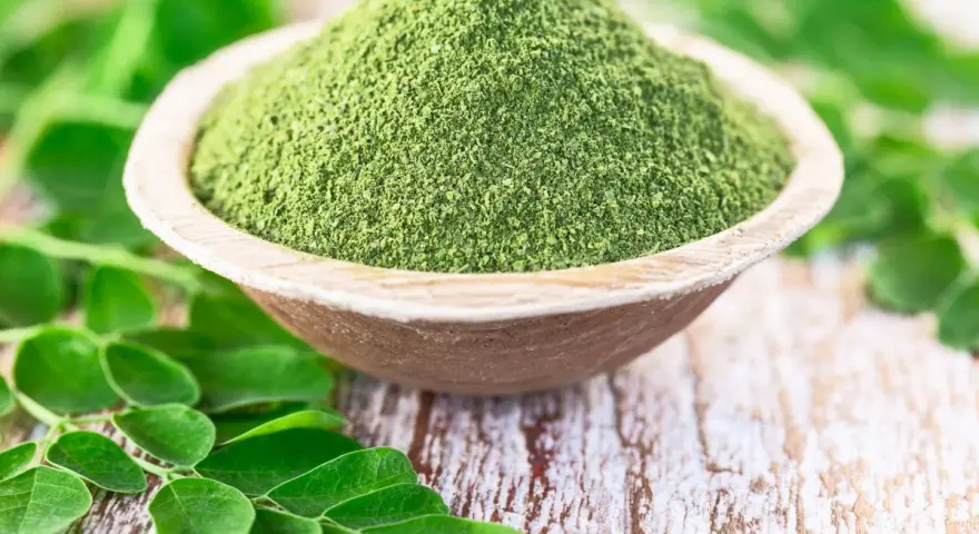 Zielony proszek z liści moringa w drewnianej miseczce, otoczony świeżymi liśćmi. Czy to ściema? Nie, to superfood!