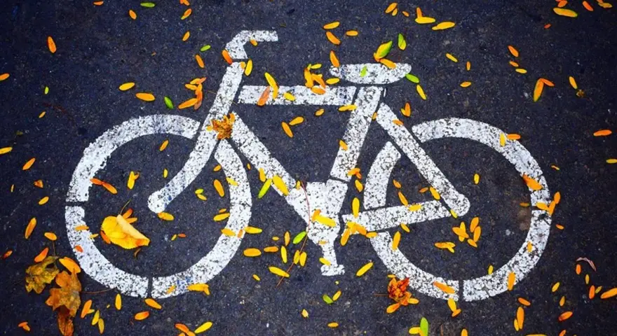 Biały symbol roweru na asfalcie, ozdobiony jesiennymi liśćmi. To znak, że czeka Cię przyjemna droga dla rowerów.