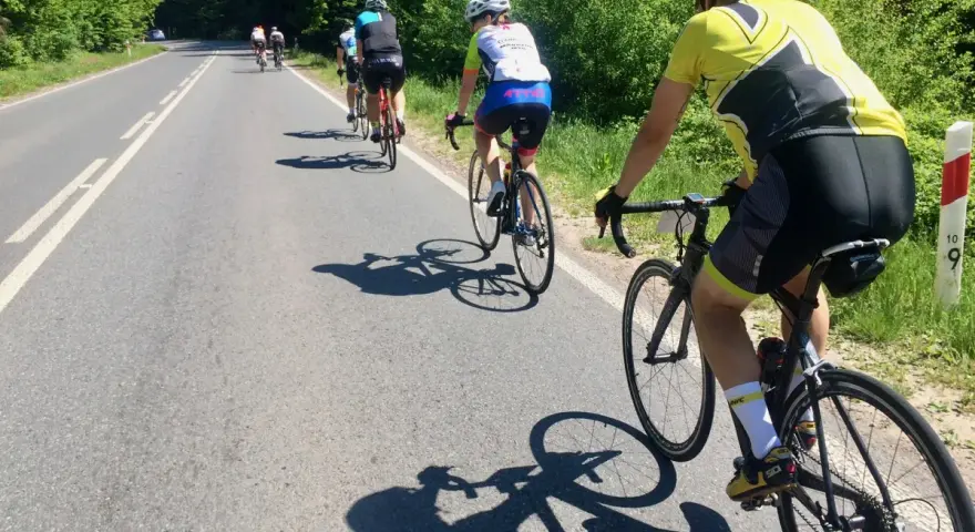 Grupa kolarzy na rajd rowerowy jedzie po asfaltowej drodze wśród zielonych drzew.