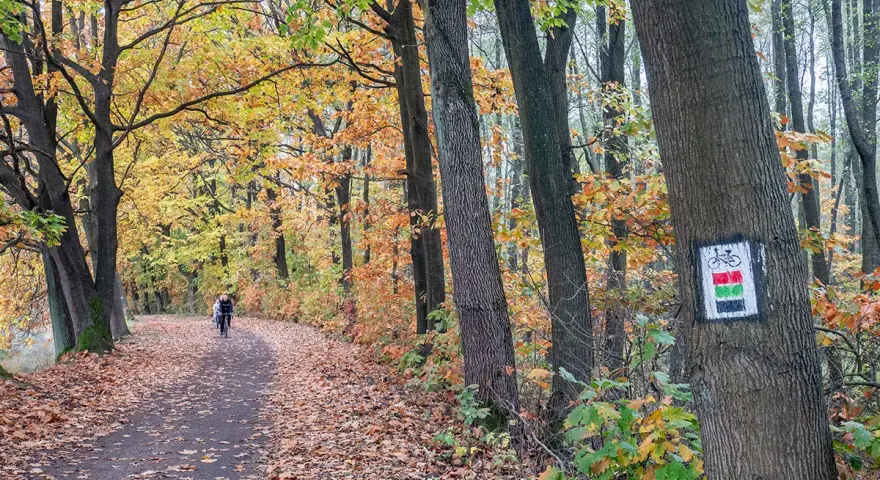 Trasy rowerowe Żory: Odkryj "Śląskie Mazury" na dwóch kółkach!