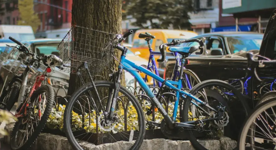 Kilka rowerów, w tym niebieski Mongoose, stoi przy drzewie. Czy to kross czy Romet?