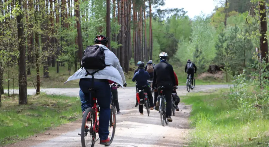 Grupa rowerzystów w lesie. Słońce przebija się przez drzewa, a ścieżka jest piaszczysta. To świetny sposób na spalenie puste kalorie i cieszenie się naturą.