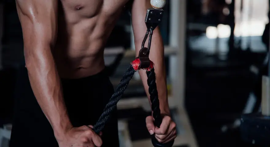 Mięśnie tricepsów w akcji. Zastanawiasz się, ile serii na triceps w tygodniu da najlepsze efekty?