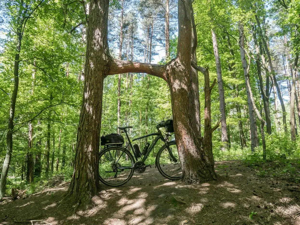 Rowerzysta na tle panoramy Katowic z zielonymi terenami
