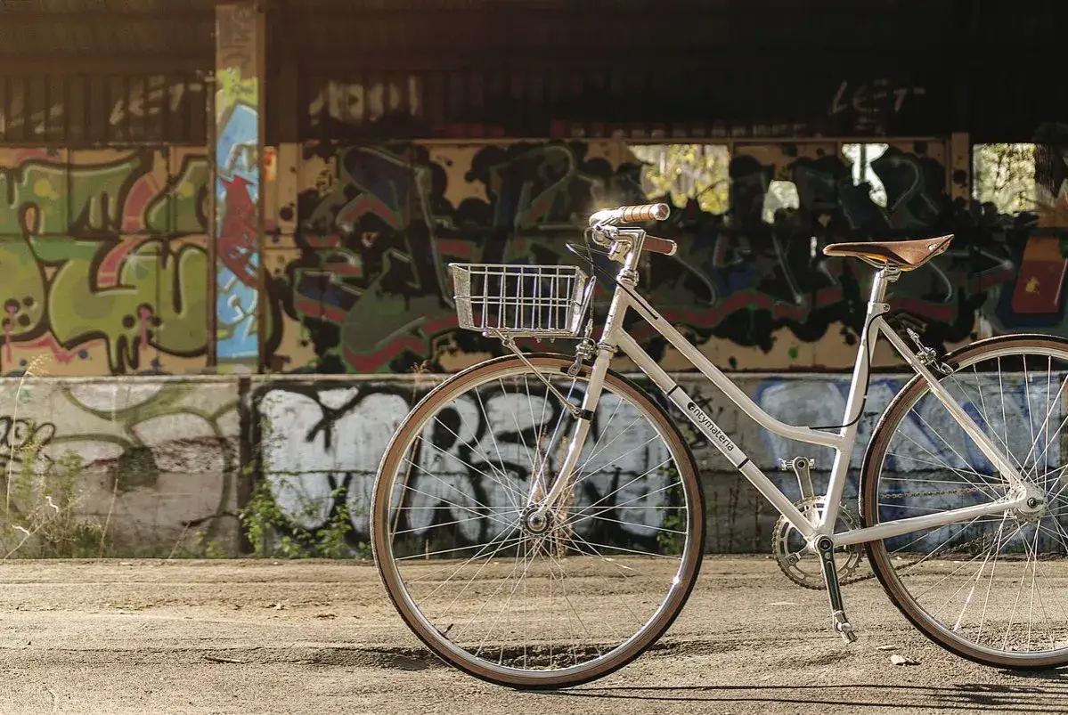 Porównanie różnych typów rowerów damskich