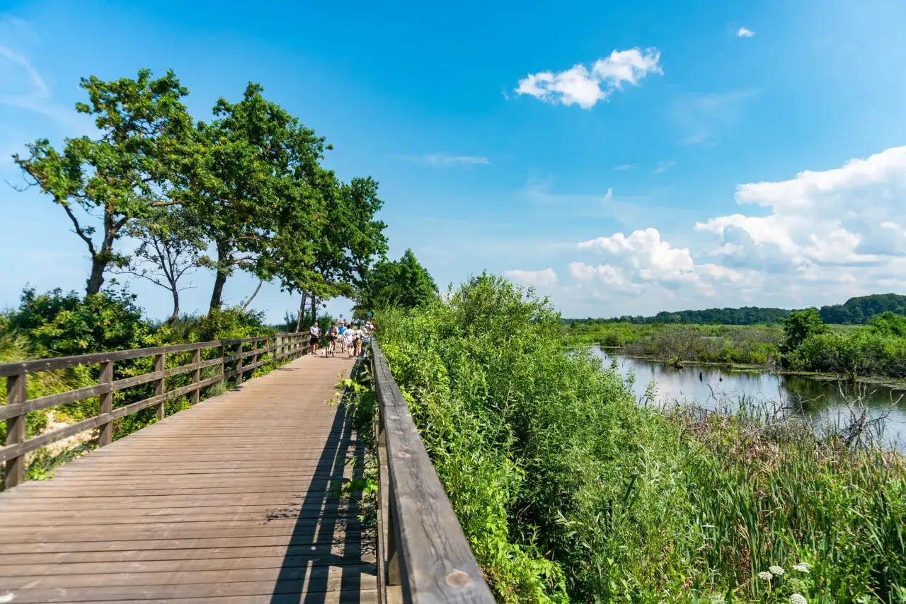 Ekopark Wschodni Kołobrzeg rower