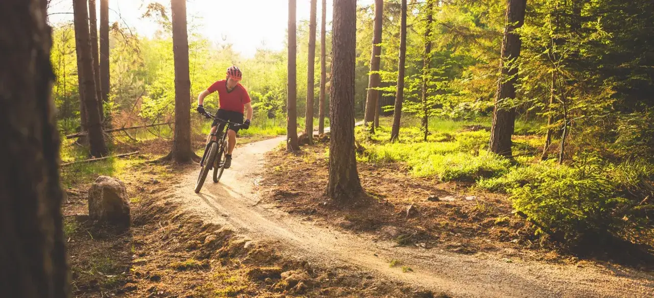 Rowerzysta w kasku i czerwonej koszulce pokonuje zakręt na piaszczystym single track w lesie.