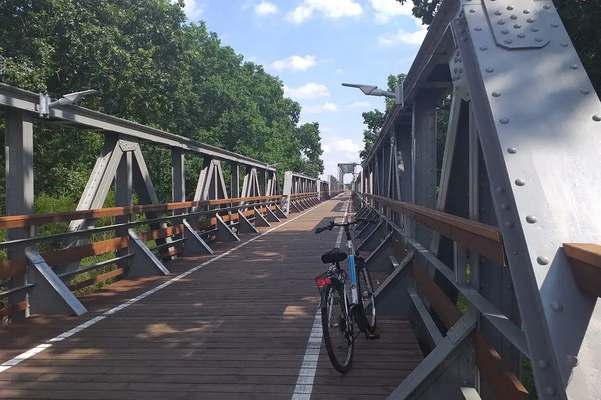 Rowerzysta na ścieżce rowerowej w Zielonej Górze
