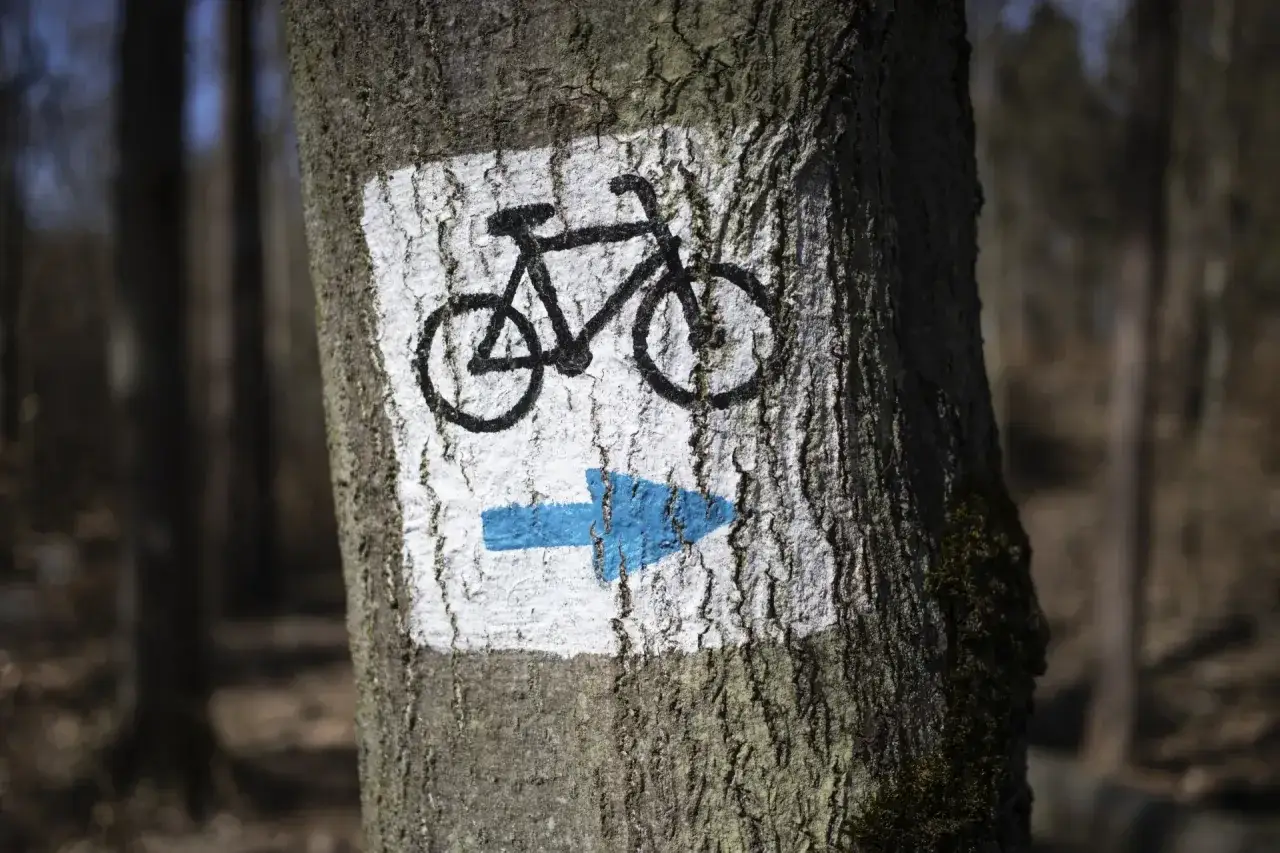 Rowerzysta w Spalskim Parku Krajobrazowym