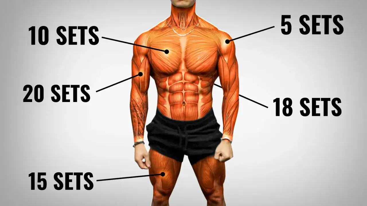 Anatomia mięśni klatki piersiowej z oznaczeniami: 10, 20, 5, 18 serii na klatę w tygodniu.