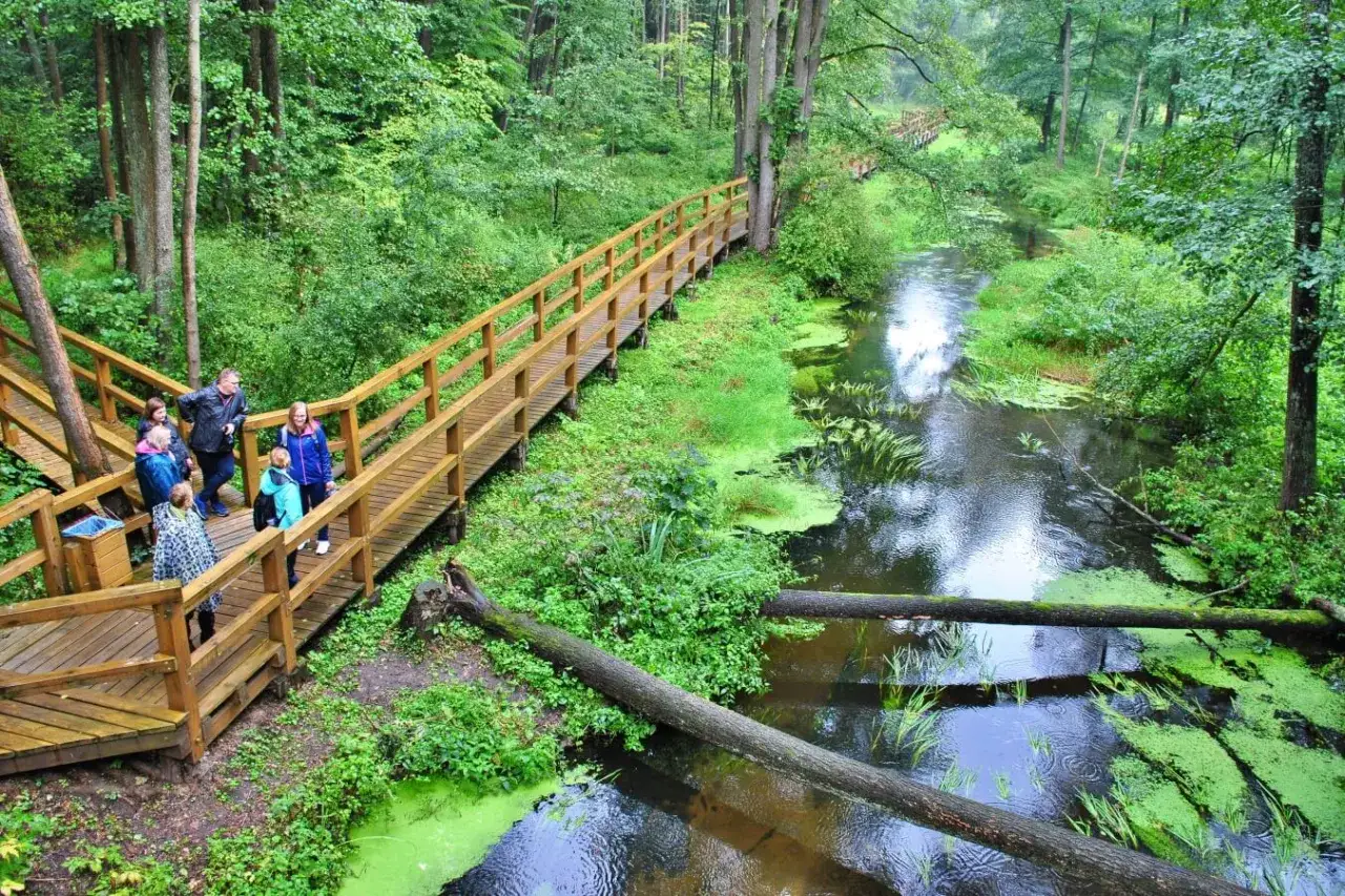 Trasy rowerowe Puszcza Kozienicka Królewskie Źródła