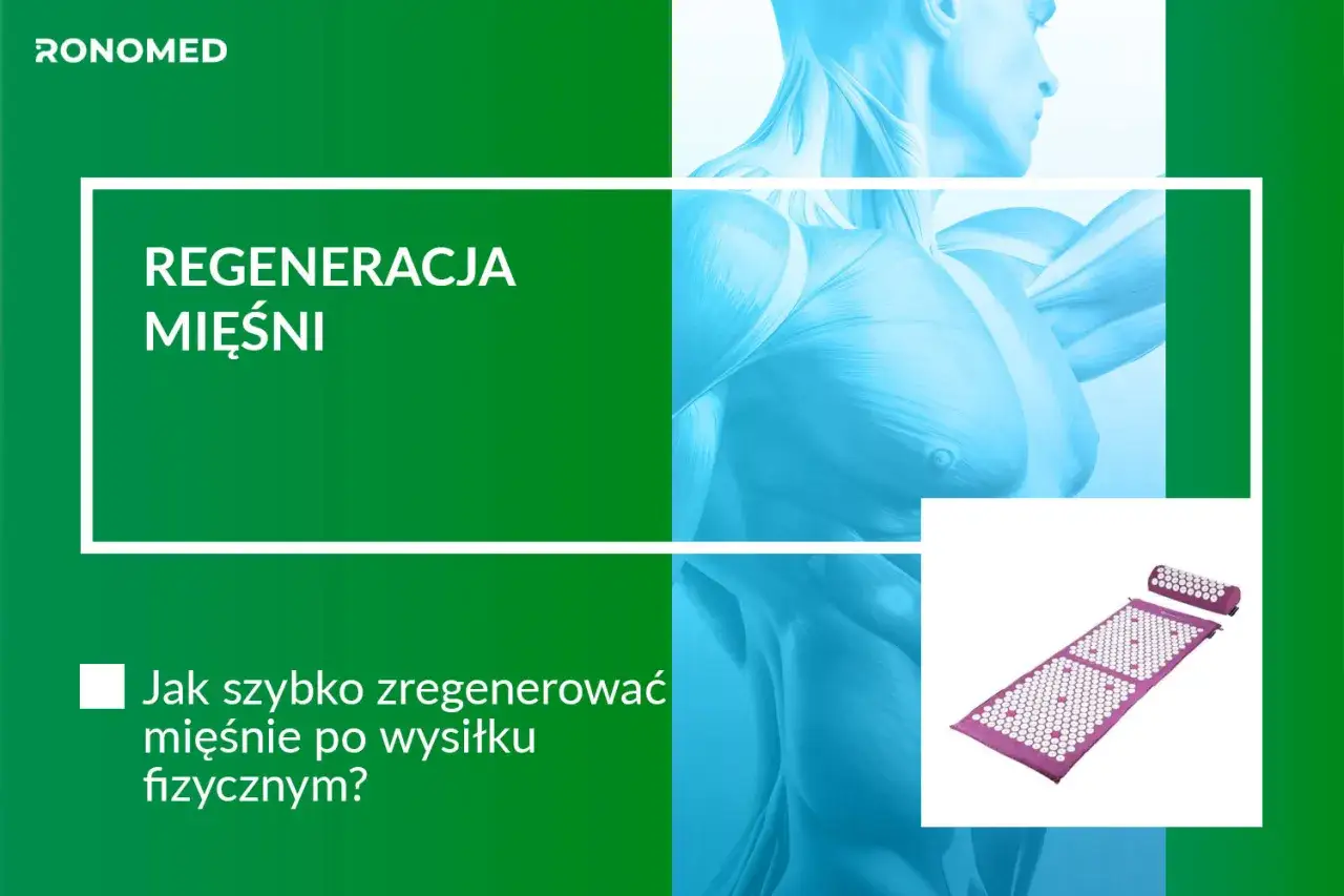 Regeneracja mięśni po wysiłku fizycznym