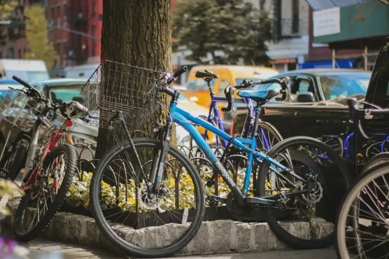 Kilka rowerów, w tym niebieski Mongoose, stoi przy drzewie. Czy to kross czy Romet?